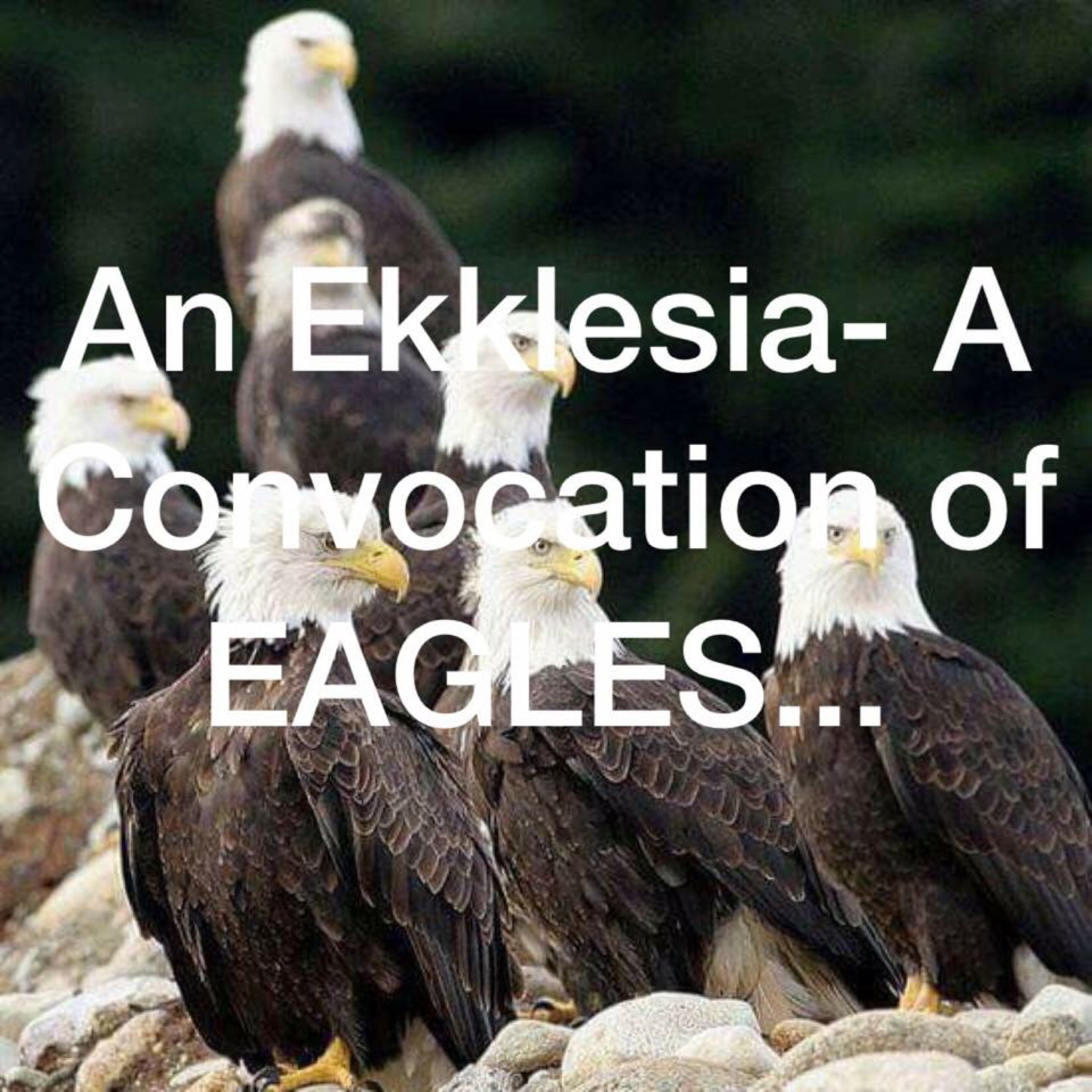 James Becton Ministries/ EaglesVision EKKLESIA!